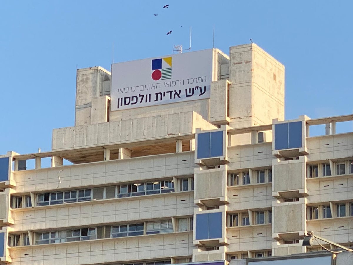 ביה״ח וולפסון