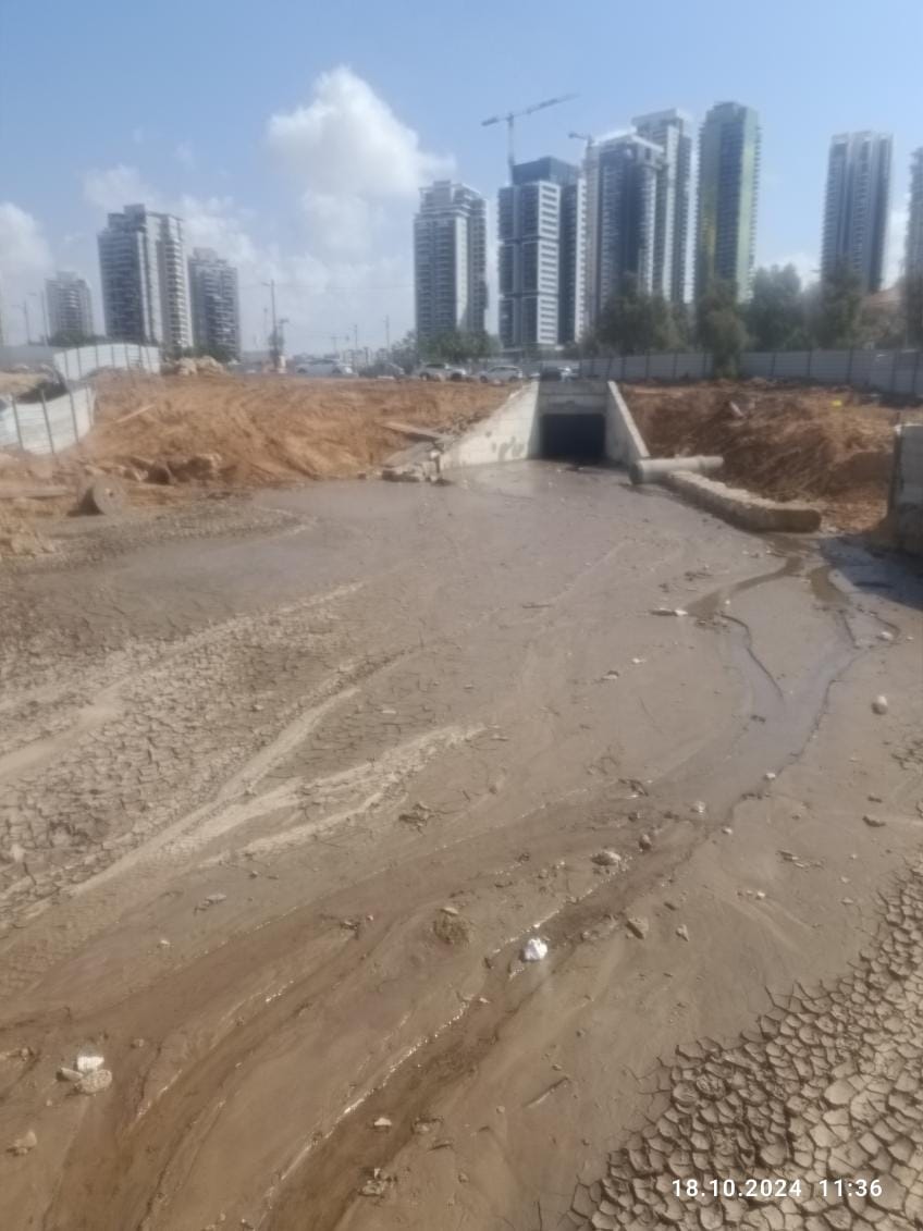 צילום: מערכת בת ים נט