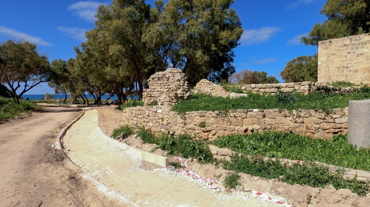 פיתוח מתחם הבזיליקה והאודאון בגן הלאומי תל אשקלון - יניב כהן רשות הטבע והגנים (1)