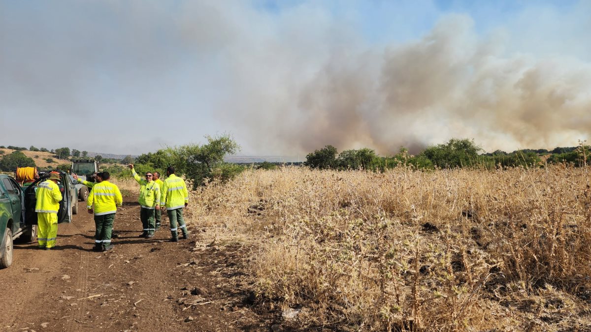 צילום רפאל אטלברג: רשות הטבע והגנים