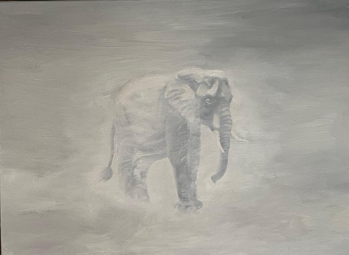 עדינה ויקטוריה