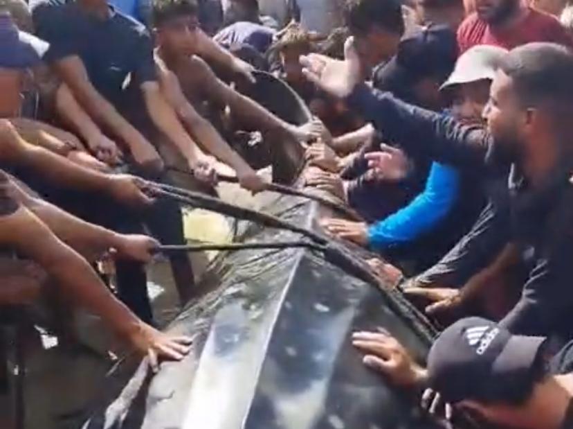 מתוך סרטון שמופץ ברשתות הערביות