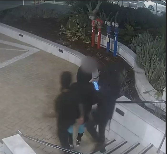 שודדי האייפונים הקטינים מבת ים צילום: דוברות המשטרה