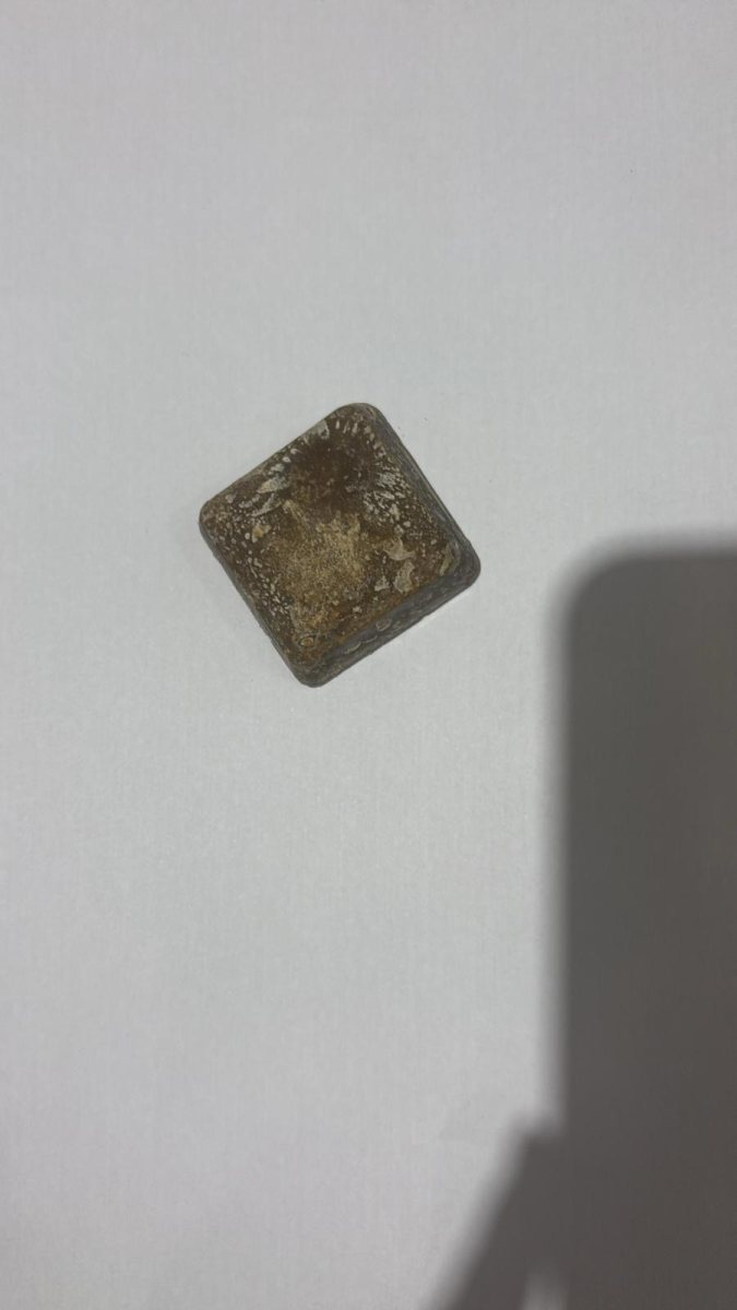 רשות הטבע והגנים, עיריית בת-ים