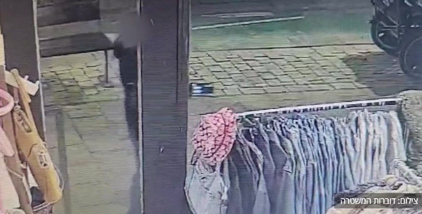 דוברות משטרה