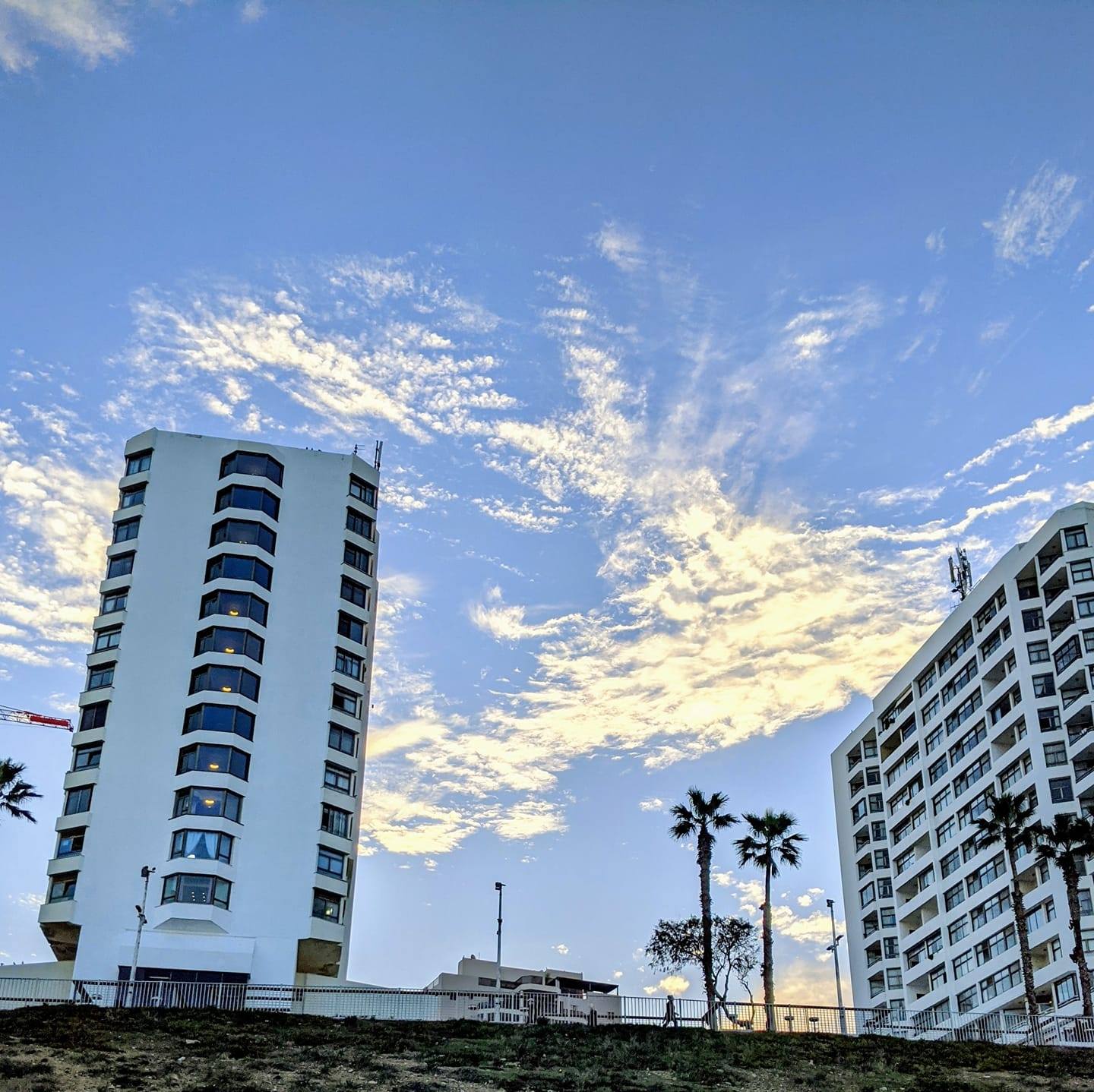 מתוך הפייסבוק מגדלי הים התיכון בת-ים