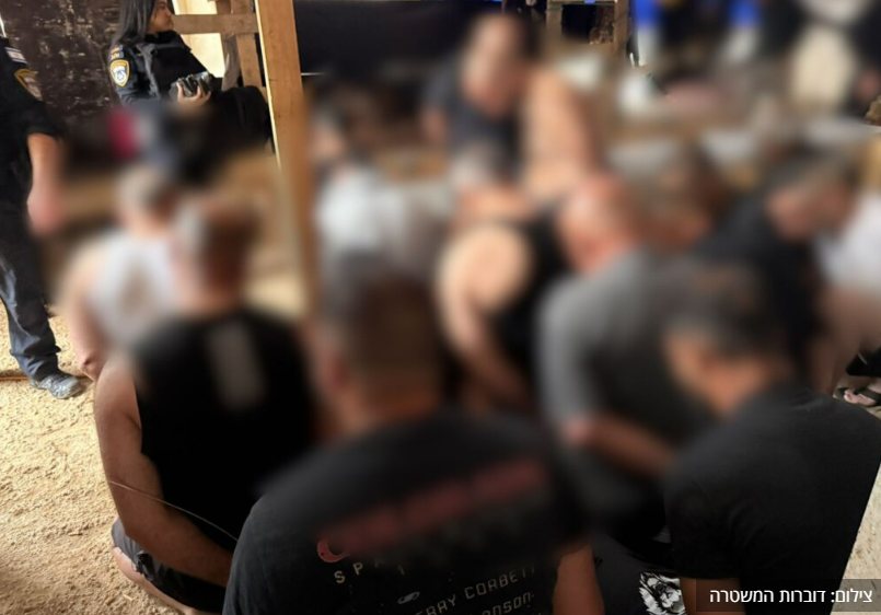 דוברות משטרה