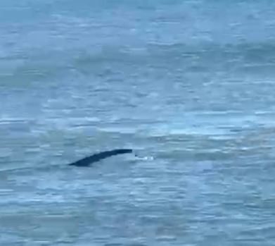 צילום על פי סעיף 27 א&#39; לחוק זכויות יוצרים