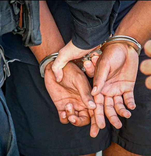 תמונת המחשה (AI)