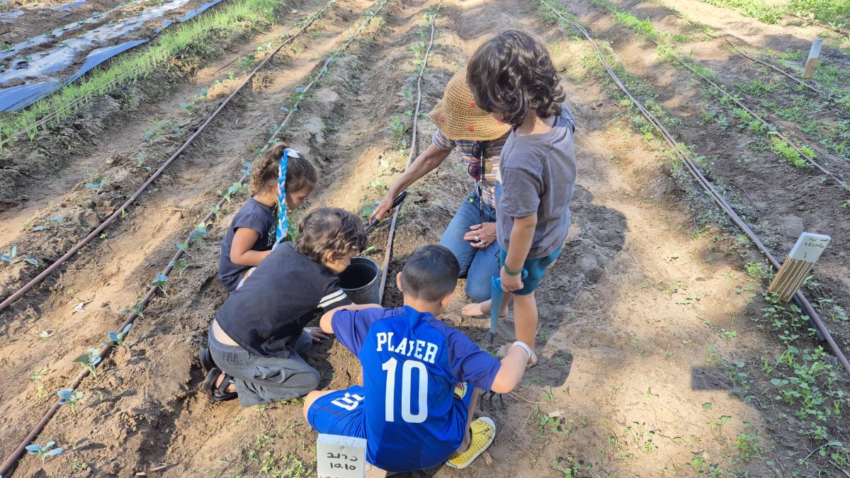 עיריית בת-ים