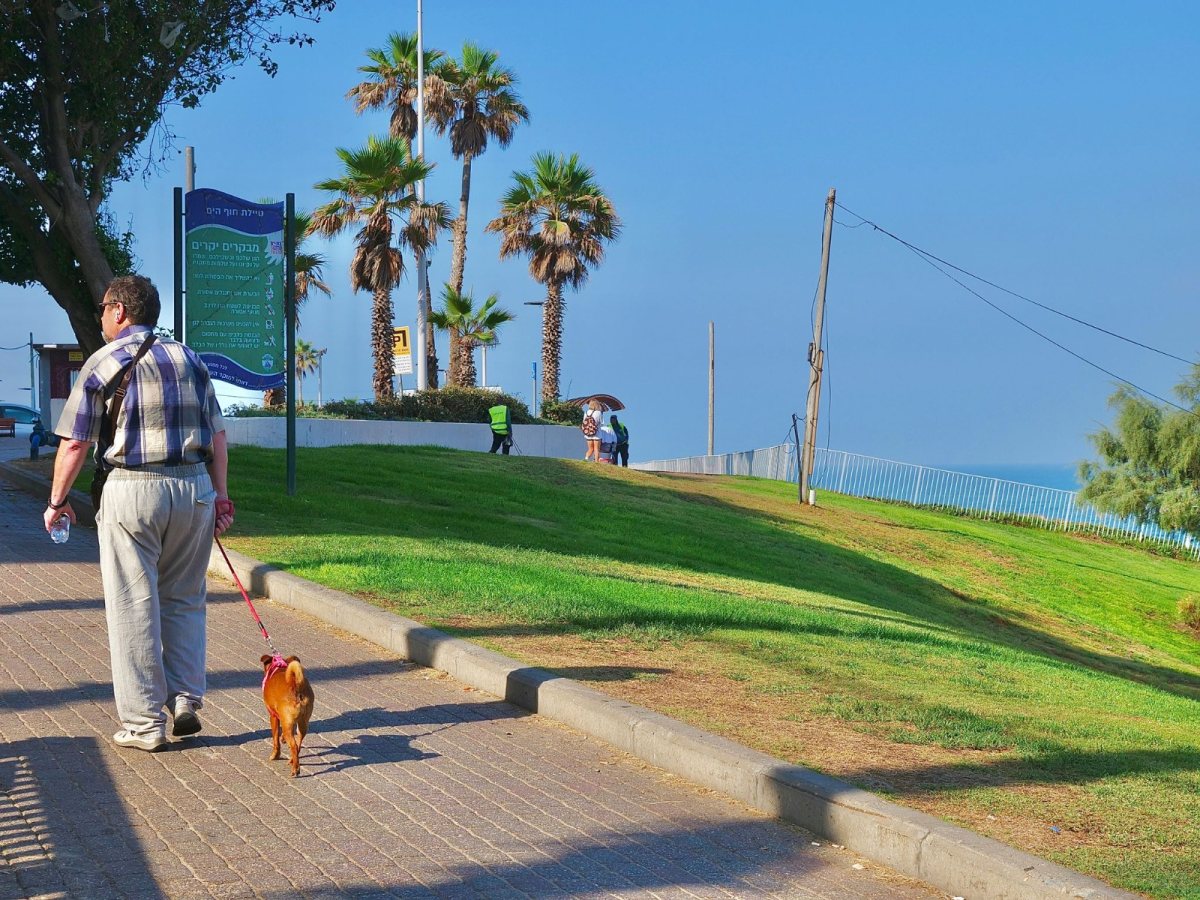 עיריית בת-ים