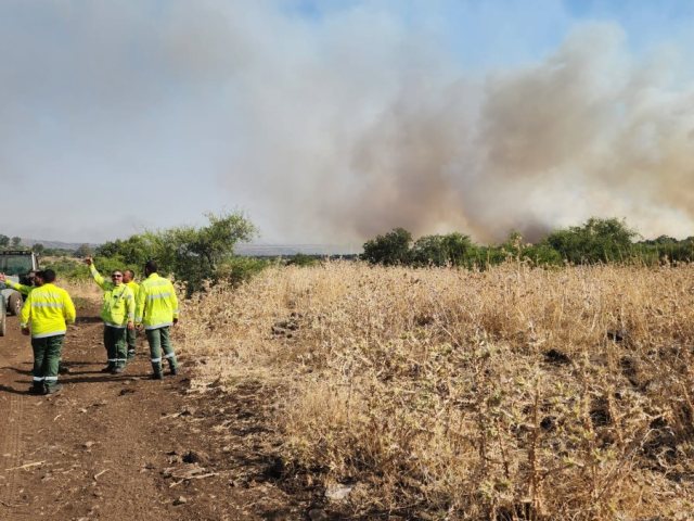 צילום רפאל אטלברג: רשות הטבע והגנים