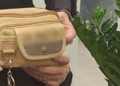 דוברות משטרה