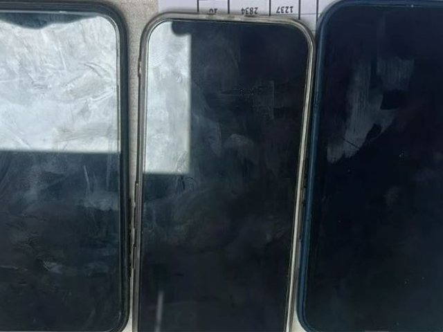 צילום: דוברות המשטרה