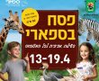 חוגגים את חג האביב בספארי. שעות פעילות בחג וחול המועד פסח 2025. הנחות ומבצעים 