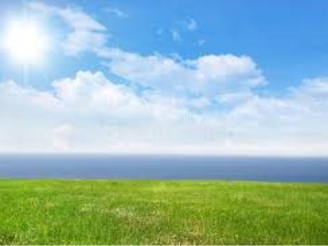 Dreamstime