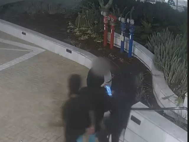 שודדי האייפונים הקטינים מבת ים צילום: דוברות המשטרה