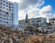  עוז שכטר, יורי דיבינסקי