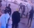 "ניסה להרוג שוטרים": הוארך שוב מעצרו של תושב אשדוד החשוד ברצח תיירת