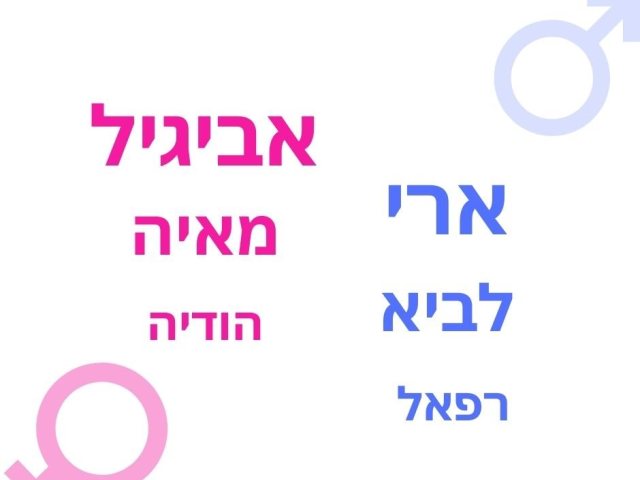 תמונת מערכת