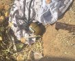 כתב אישום נגד שלושה תושבי הדרום שהשליכו רימון רסס לבניין בבת ים