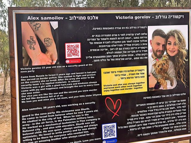 צילום: אלדה נתנאל