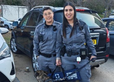 דוברות משטרה