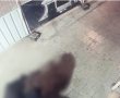 תושב בת ים בין שני החשודים שנעצרו לאחר שוד אלים במקלט ציבורי בת"א – הוגש כתב אישום