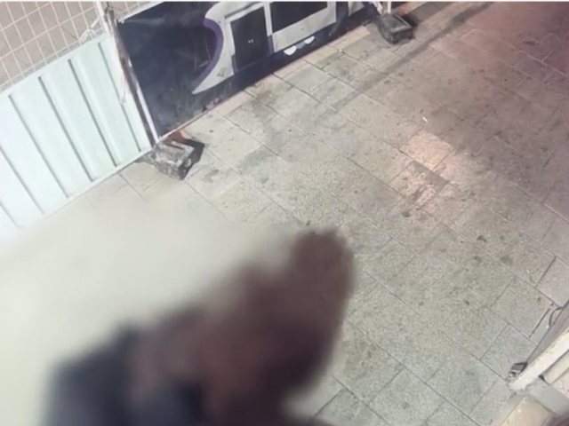 דוברות משטרה