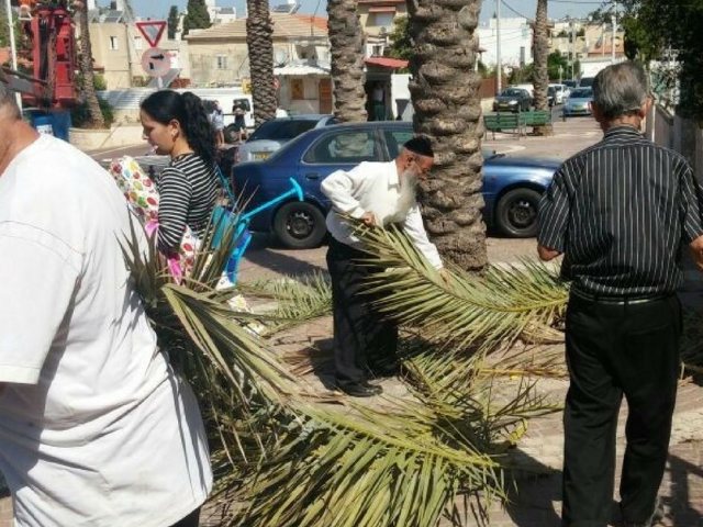 מערכת האתר