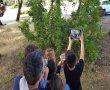 אטרקציות שבועות ברמת הגולן- סיורים בחרמון, תצפית כוכבים ואירועים לכל המשפחה 