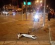 בעקבות פניית באר שבע נט: העירייה חושפת - כמה קנסות ניתנו לרוכבי קורקינטים בעיר?