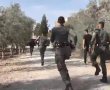 החרמות רכבים, השמדת בשר וקנסות במאות אלפי שקלים: המשטרה פשטה על רהט (תיעוד)