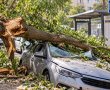 ענף עץ קרס על רכב באשדוד: התביעה, עמדת העיריה והנימוק החריג