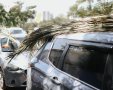 צילום: מריה ריבין