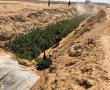 אמש בסמוך לאופקים: נחשף שטח ענק לגידול קנאביס