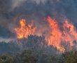אחרי שריפות הענק בהרי ירושלים ויהודה: מבקר המדינה בדו"ח מדהים בחומרתו