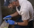 צפו בווידאו: ג'ואריש סרט מלחמה כך חשפה המשטרה אמצעי לחימה בשכונה הרמלאית.  